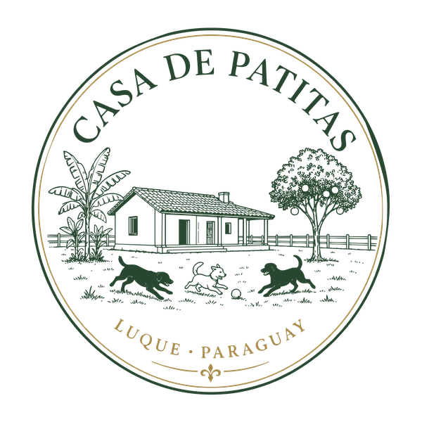 Casa de Patitas · Luque, Paraguay